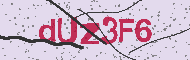 Codice captcha