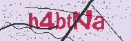 Codice captcha