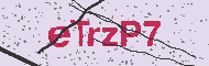 Codice captcha