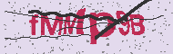Codice captcha