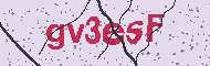 Codice captcha