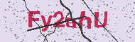 Codice captcha