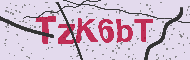 Codice captcha