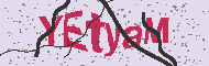 Codice captcha