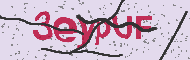 Codice captcha