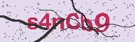 Codice captcha