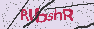Codice captcha