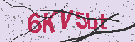 Codice captcha