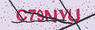 Codice captcha