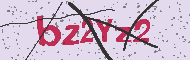 Codice captcha