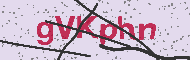 Codice captcha