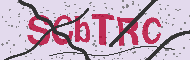 Codice captcha