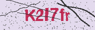 Codice captcha