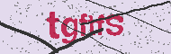 Codice captcha