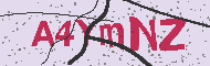 Codice captcha