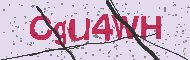 Codice captcha