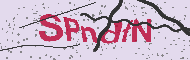 Codice captcha