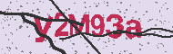 Codice captcha