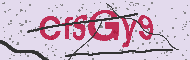 Codice captcha