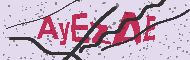 Codice captcha