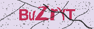 Codice captcha