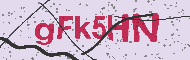 Codice captcha