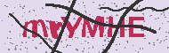 Codice captcha