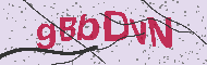 Codice captcha