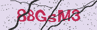 Codice captcha