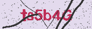 Codice captcha