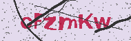 Codice captcha