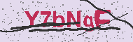 Codice captcha