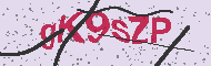 Codice captcha